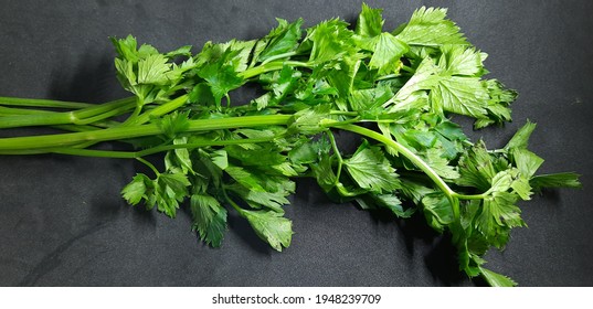 Daun Seledri High Res Stock Images Shutterstock