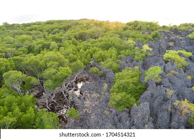 Apo Reef Natural Park Philippines