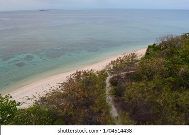 Apo Reef Natural Park Philippines