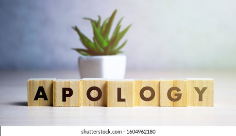 apology - word from wooden blocks with letters, sorry concept, random letters around, white background.