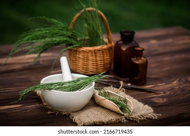 Apothecary Mortar With Dry Medicinal Herbs Horse Tail. Equisetum, Horsetail, Snake Grass, Oil For Cosmetology. Puzzlegrass, Candock Extract For Alternative Medicine Used Diuretic For Edema.