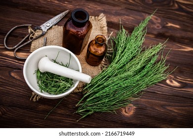 Apothecary Mortar With Dry Medicinal Herbs Horse Tail. Equisetum, Horsetail, Snake Grass, Oil For Cosmetology. Puzzlegrass, Candock Extract For Alternative Medicine Used Diuretic For Edema.