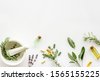 medical herbs background