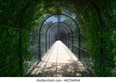 Appalachian Trail Above Highway