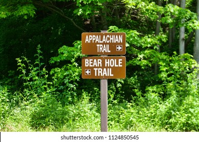 Appalachian Trail Bear Hole Sign Post