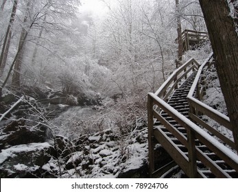 Appalachian Trail In Georgia