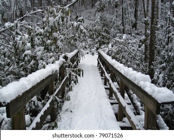 Appalachian Trail In Georgia