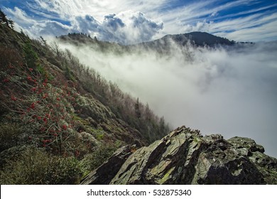 Appalachian Trail, Great Smoky Mountains National Park