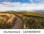 Appalachian Trail at Max Patch	