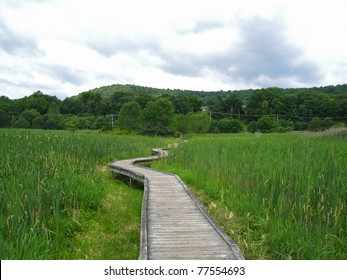 Appalachian Trail In New Jersey