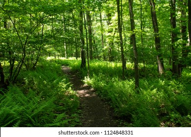 Appalachian Trail Pennsylvania