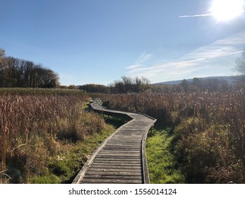 Appalachian Trail In Pennsylvania Area