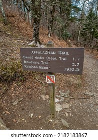 Appalachian Trail - Tennessee Nature Photography In The Winter