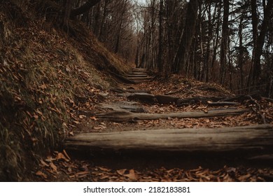 Appalachian Trail - Tennessee Nature Photography In The Winter