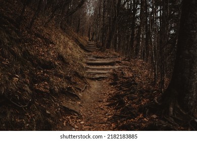 Appalachian Trail - Tennessee Nature Photography In The Winter