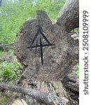 Appalachian Trail thru-hike. Logo of the AT found on a downed log. 