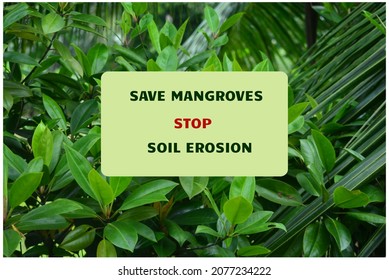 An Appeal To Save Mangroves To Stop Soil Erosion By Wind, Storm, Sea Water Waves Etc. 