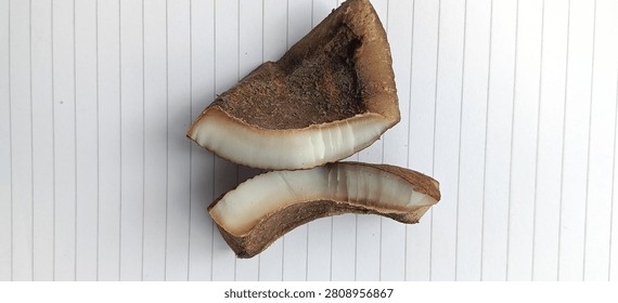 the appearance of many copra 