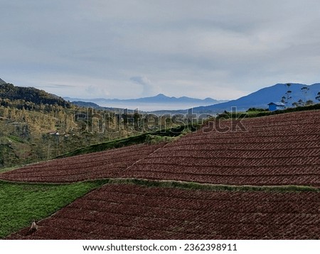 the appearance of uncultivated land and also the background of hills and mountains