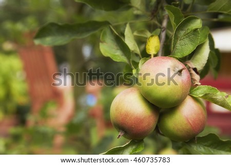 Appel