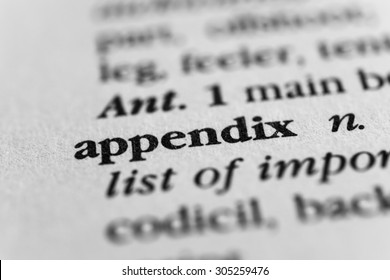 Appendix