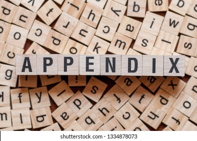 Appendix Word Concept