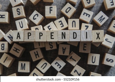 Appendix Word Concept