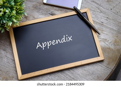 Appendix Word Written On The Black Chalkboard. Business And Education Concept