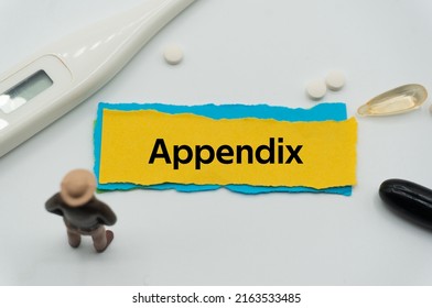 Appendix.The word is written on a slip of colored paper. health terms, health care words, medical terminology. wellness Buzzwords. disease acronyms. - Shutterstock ID 2163533485