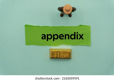 appendix.The word is written on a slip of paper,on colored background. professional terms of finance, business words, economic phrases. concept of economy. - Shutterstock ID 2165059591