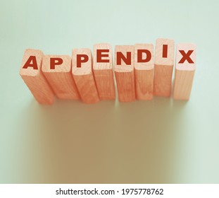 Appendix Word Written On Wood Block. Appendix Text On Table, Concept.