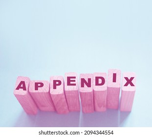 Appendix Word Written On Wood Block. Appendix Text On Table, Concept.