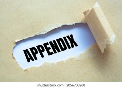 Appendix Word Written Under Torn Paper.