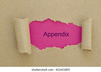 Appendix Word Written Under Torn Paper.