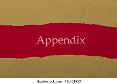 Appendix Word Written Under Torn Paper.