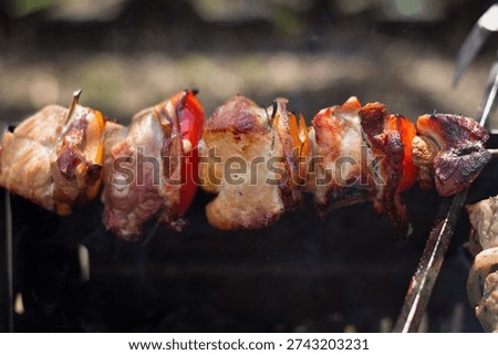 Appetizing close-up of meat and vegetable shish kebab on a skewer, grilling outdoors. Chunks of pork, red pepper, and onion cook over charcoal with smoke. Shallow depth of field, natural light.