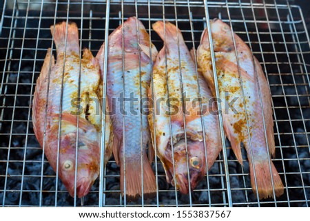 Appetizing fish (Acadian redfish) with spices on the grill. Food background. 