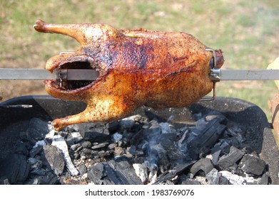 Appetizing Grilled Duck On The Spit Skewer. Roasted On Traditional Barbecue. Whole Carcass Duck Roasting Over Hot Coals.