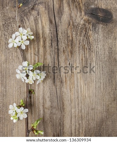 Apple blossom on wooden background. Copy space.