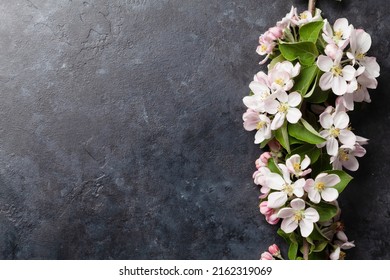 Apple blossom tree branch on stone table. Top view flat lay with copy space, Template for your spring card