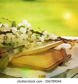 Apple blossoms