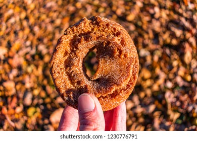 Apple Cider Doughnut Held Over A Background Of Colorful Autumn Leaves 