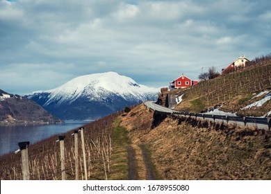 Apple Cider Farm In Sorfjorden, Norway