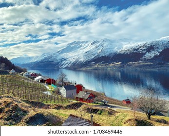 Apple Cider Farm In Sorfjorden, Norway