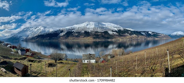 Apple Cider Farm In Sorfjorden, Norway