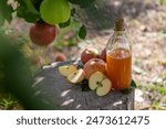 Apple cider vinegar in the garden. Selective focus. Food.