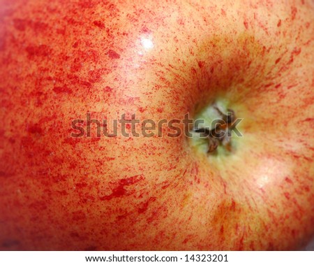 apple closeup