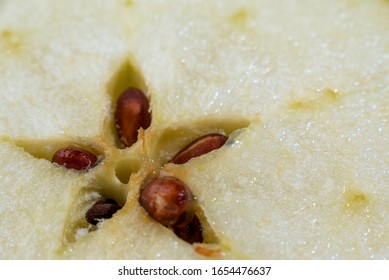 apple core with brown seeds