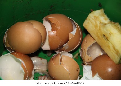 Apple core and egg shells compost food waste