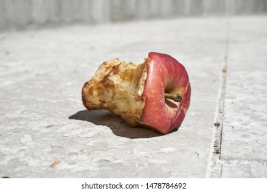 Apple core left on the ground
